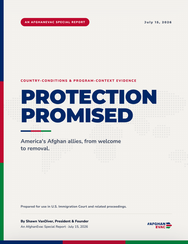 Protection Promised cover